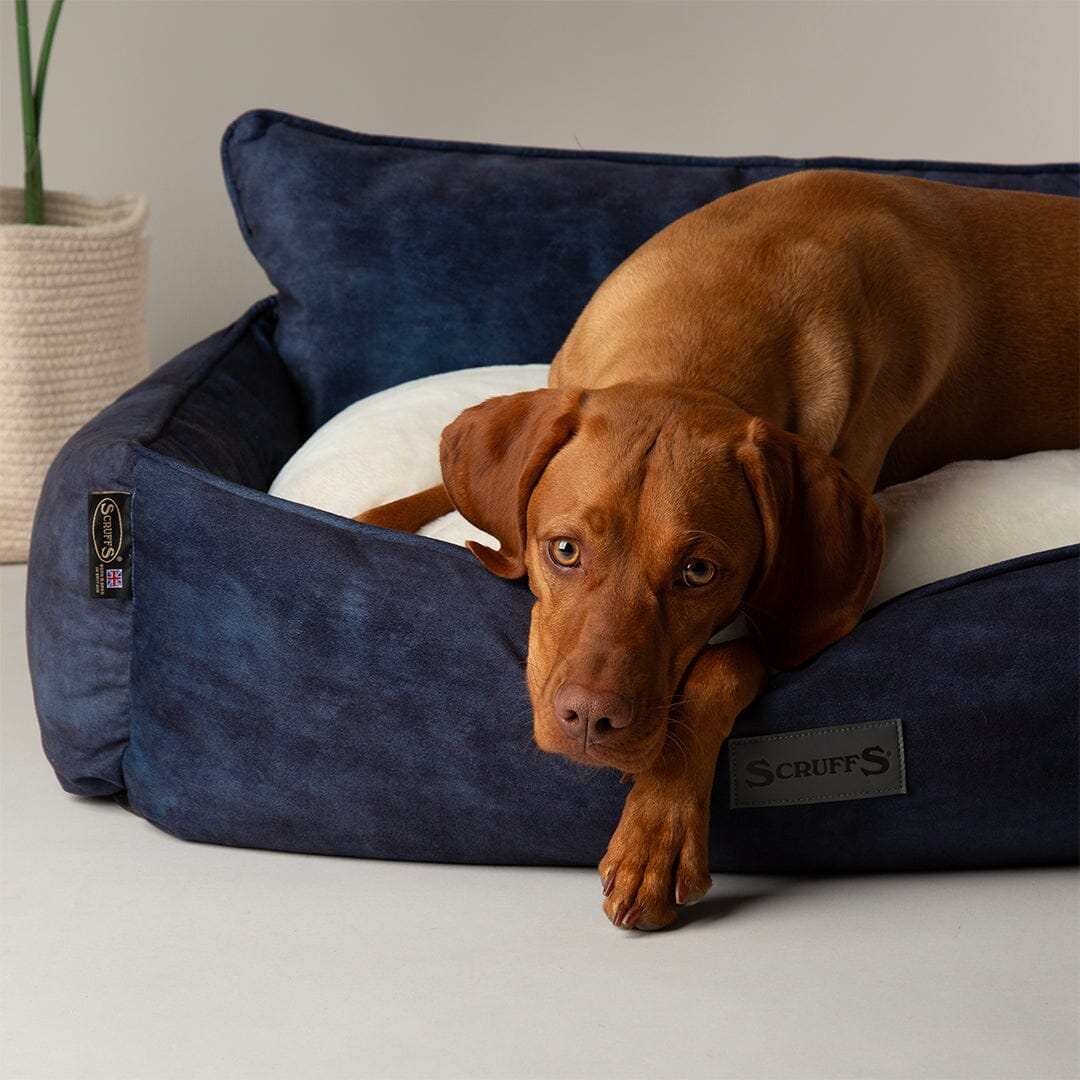 Kensington Box Bed - Navy Dog Bed Scruffs® 