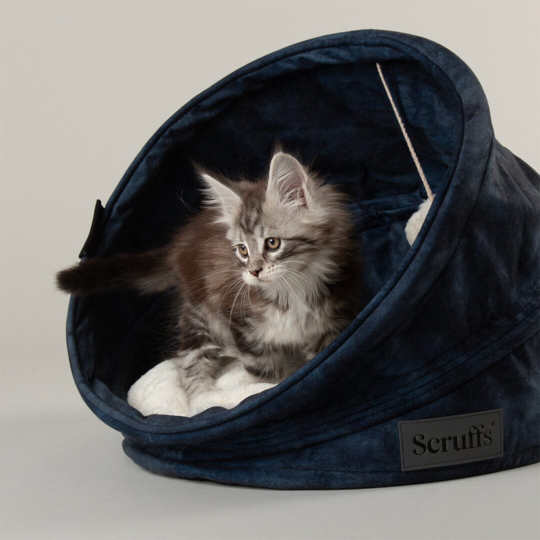 Kensington Cat Bed - Navy Cat Bed Scruffs® 