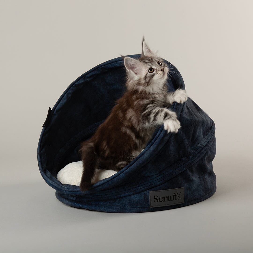 Kensington Cat Bed - Navy Cat Bed Scruffs® 