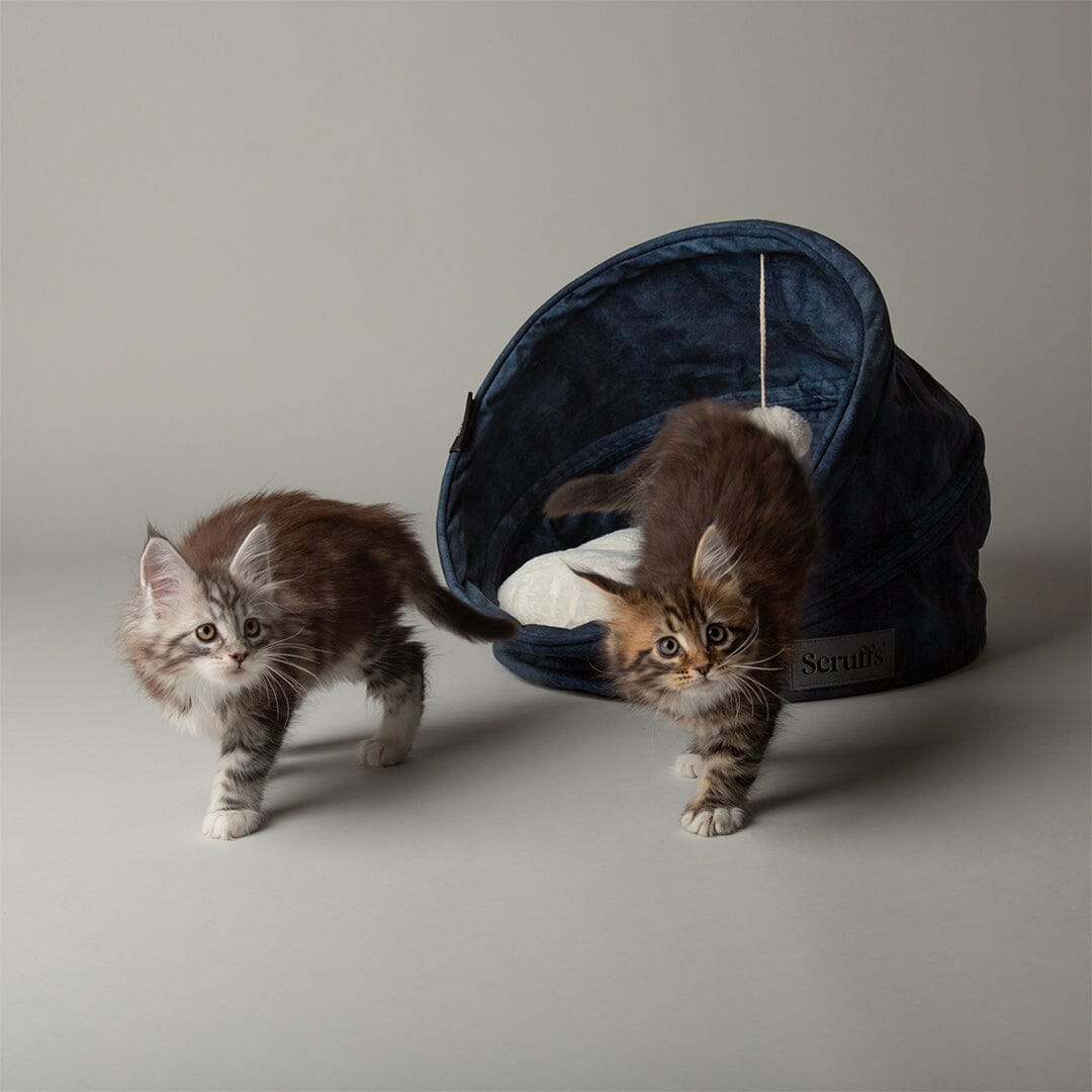 Kensington Cat Bed - Navy Cat Bed Scruffs® 