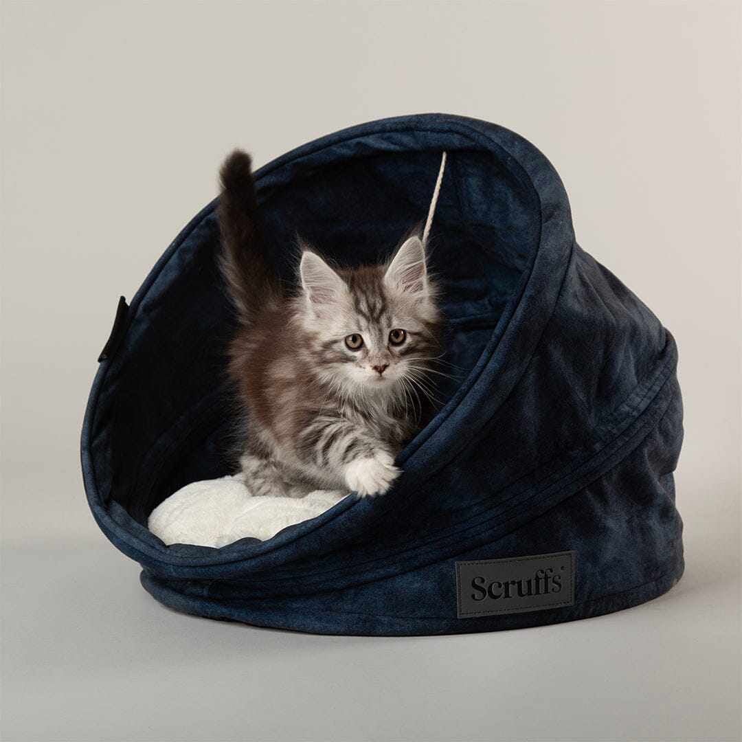 Kensington Cat Bed - Navy Cat Bed Scruffs® 