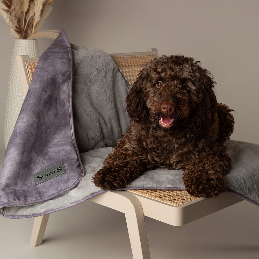 Kensington Blanket - Grey Dog Blanket Scruffs®