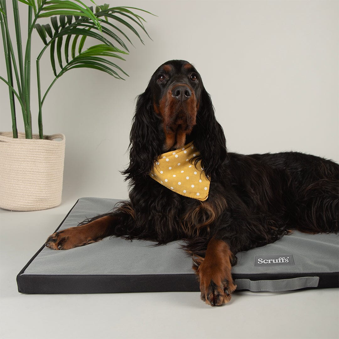 Expedition Crate Mat - Graphite Grey Dog Crate Mat Scruffs®