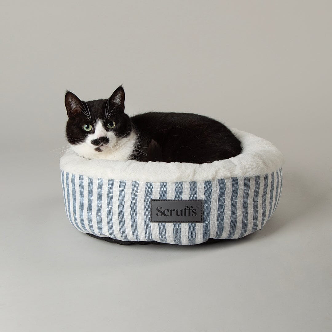 Scruffs Coastal Cat Bed with Cat sitting Blue Stripes