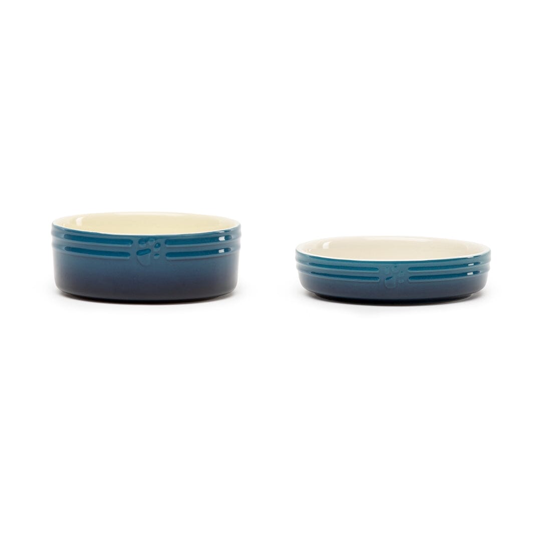 Ombre 2 Piece Cat Food Bowl & Saucer Set - Blue 