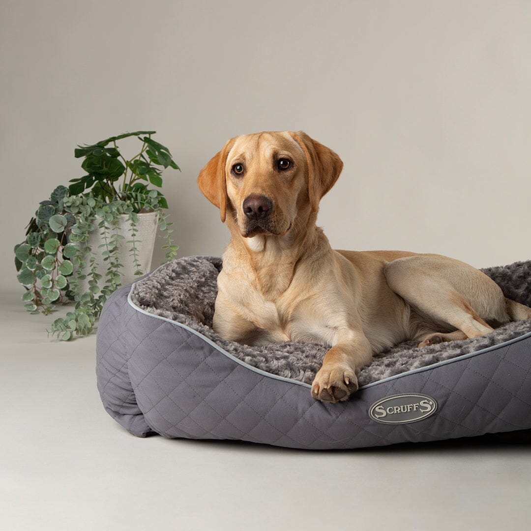 Wilton Box Dog Bed - Grey Dog Bed Scruffs®