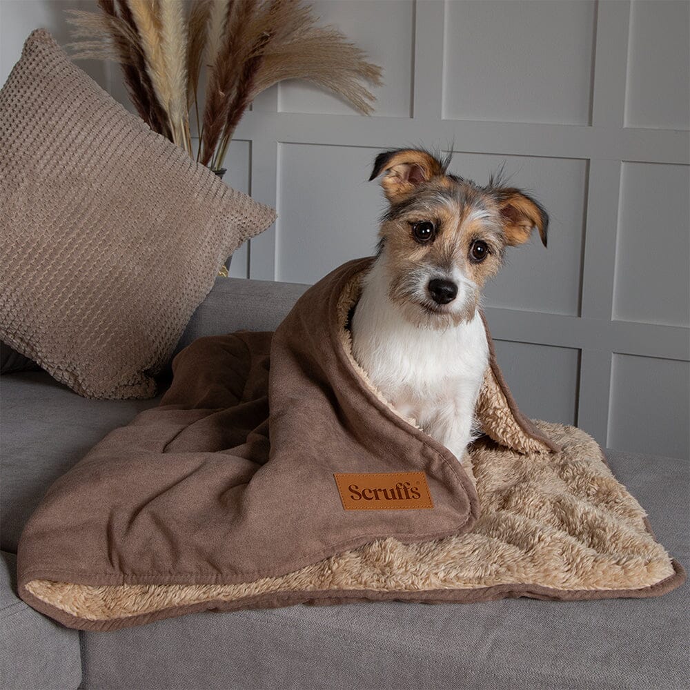 Snuggle Blanket - Caramel Brown Dog Blanket Scruffs®