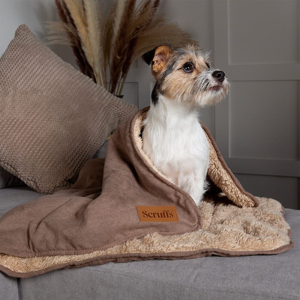 Snuggle Blanket - Caramel Brown Dog Blanket Scruffs®