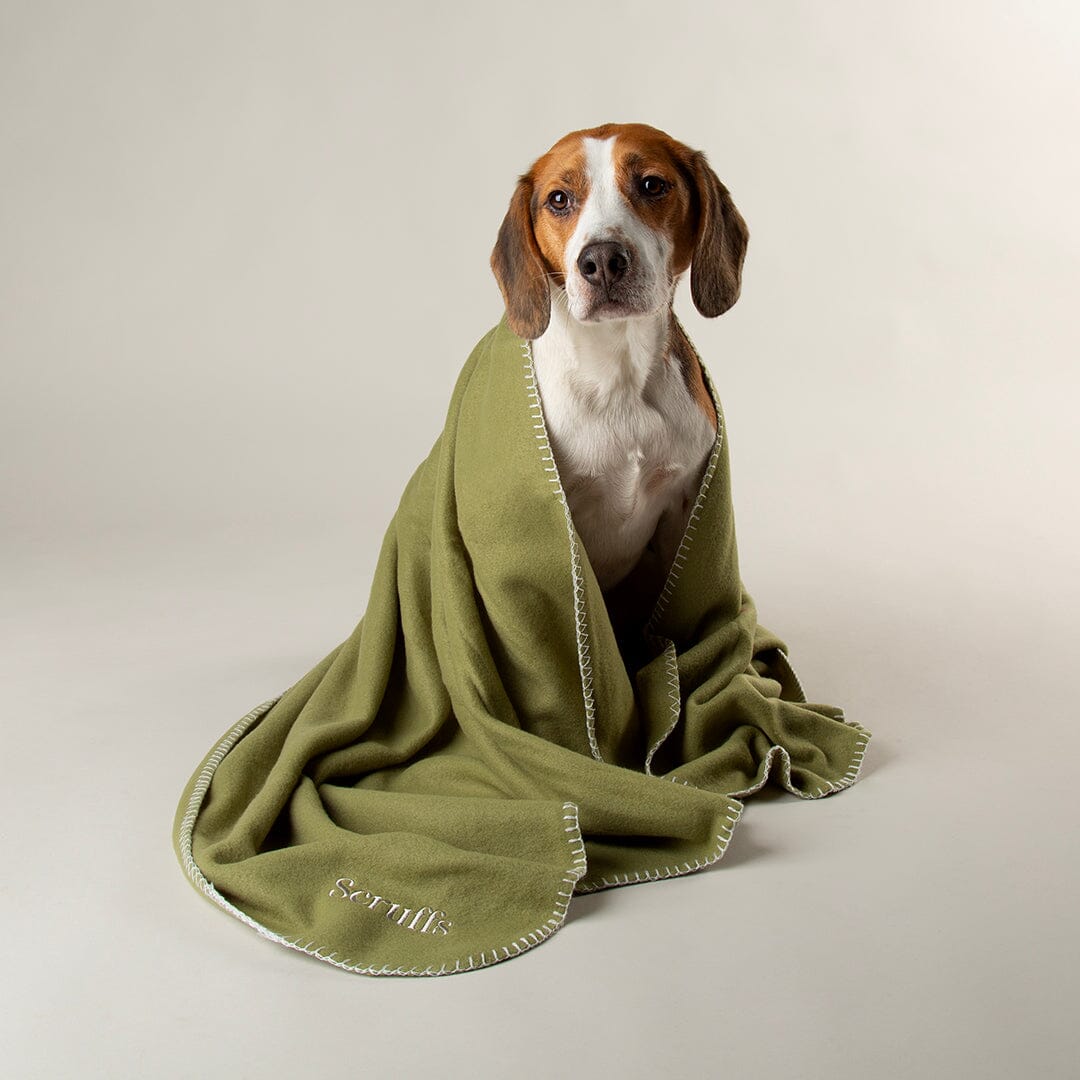 Expedition Fleece Pet Blanket - Khaki Green Dog Blanket Scruffs®