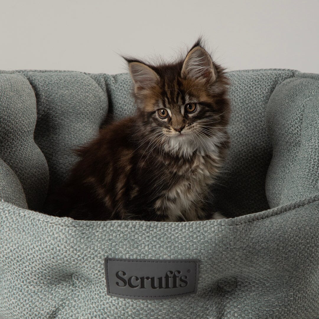 Seattle Cat Bed - Topaz Green Cat Bed Scruffs® 