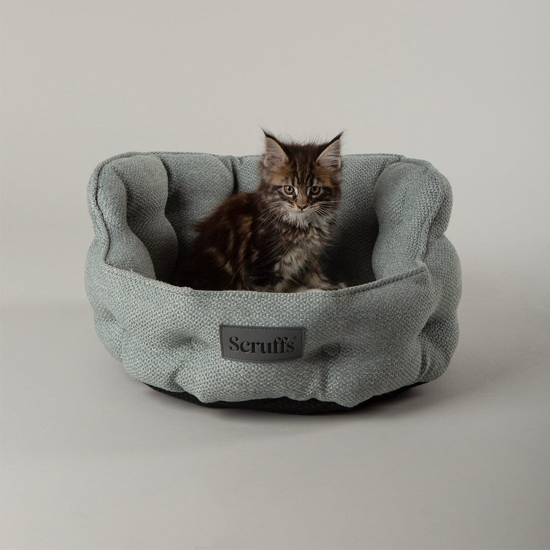 Seattle Cat Bed - Topaz Green Cat Bed Scruffs® 