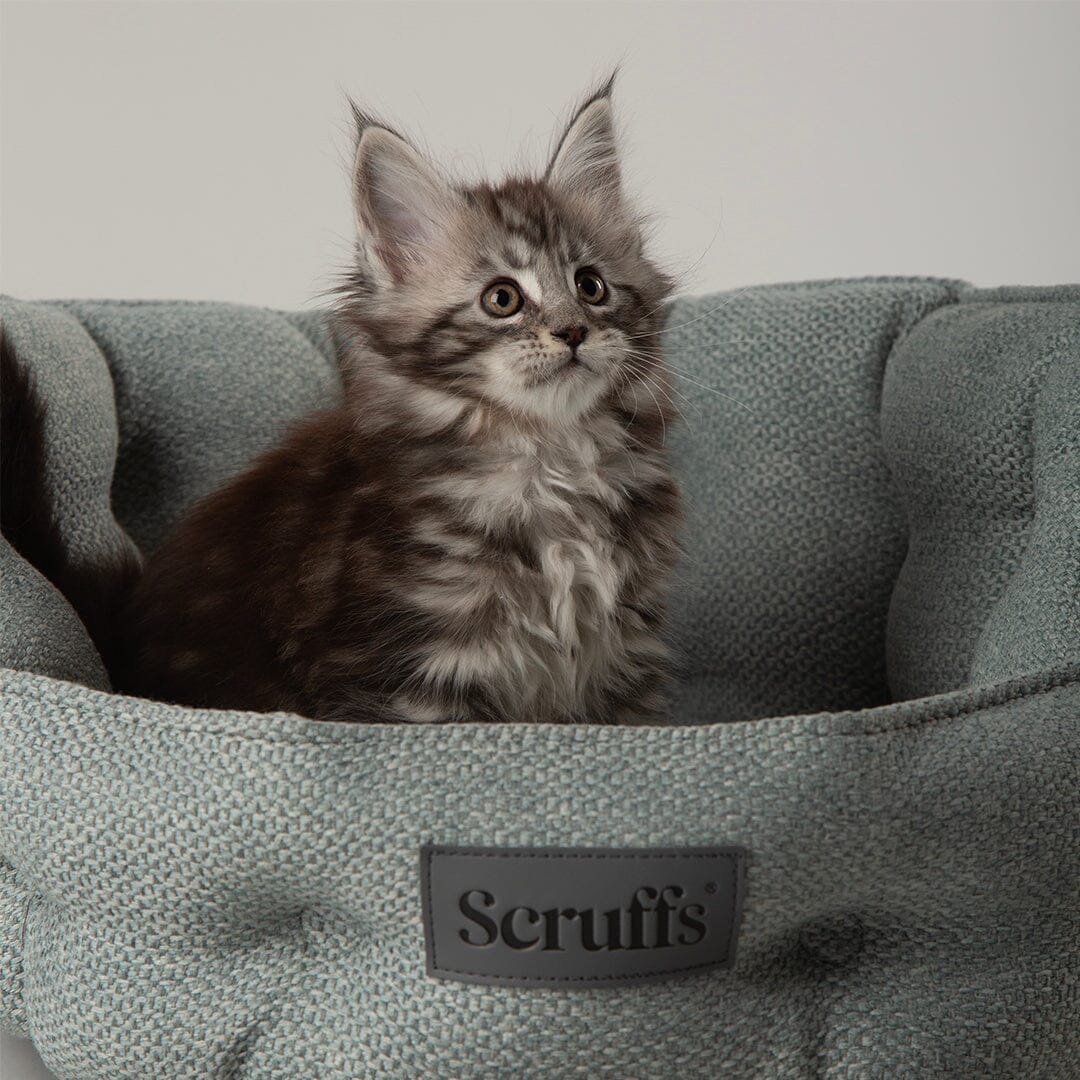 Seattle Cat Bed - Topaz Green Cat Bed Scruffs® 
