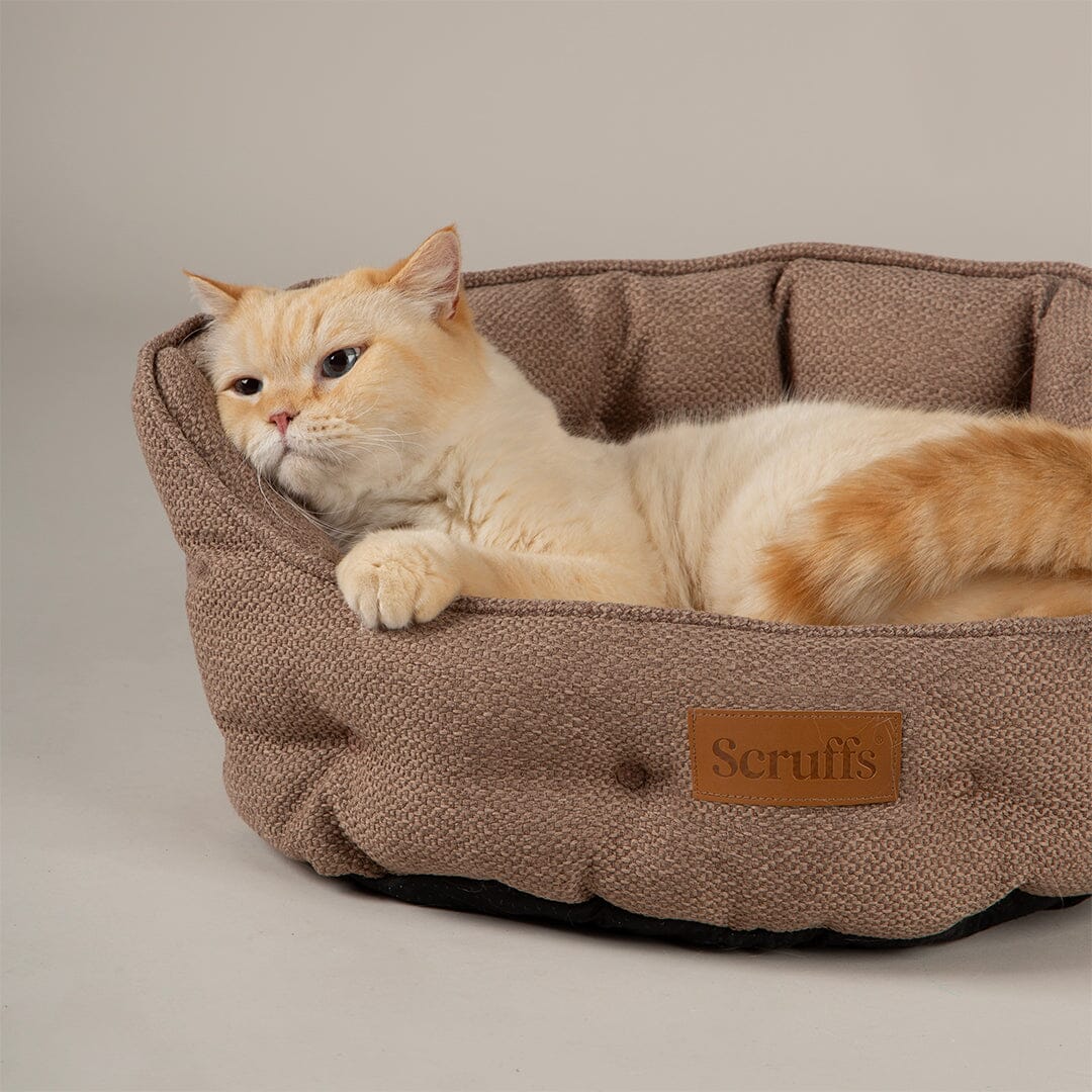 Seattle Cat Bed - Sienna Brown Cat Bed Scruffs® 