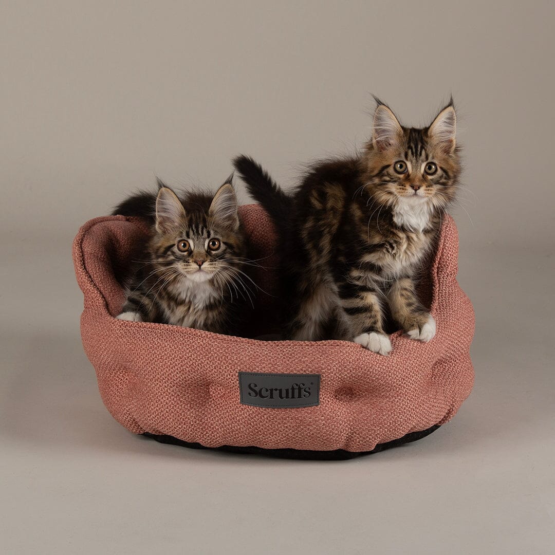 Seattle Cat Bed - Coral Pink Cat Bed Scruffs® 