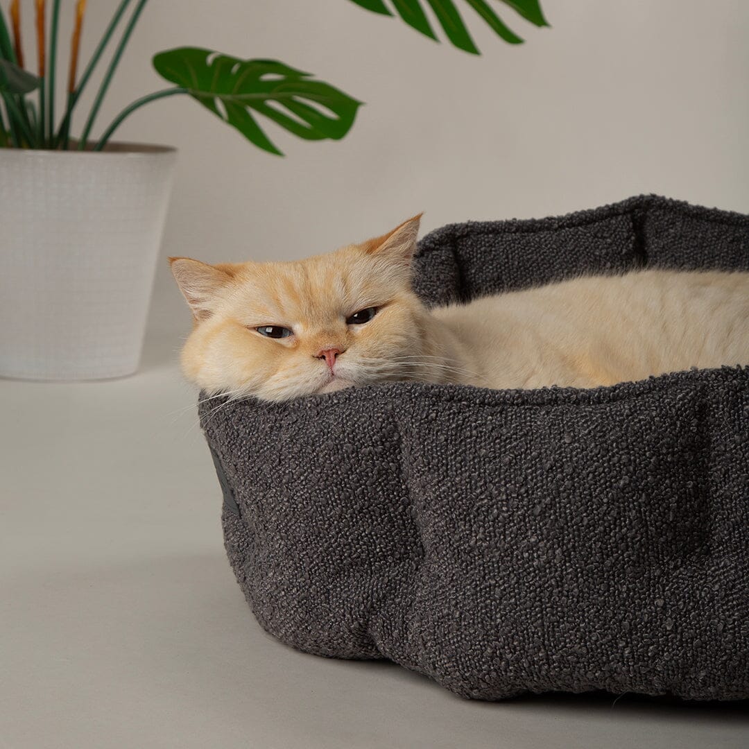 Boucle Cat Bed - Slate Grey Cat Bed Scruffs® 
