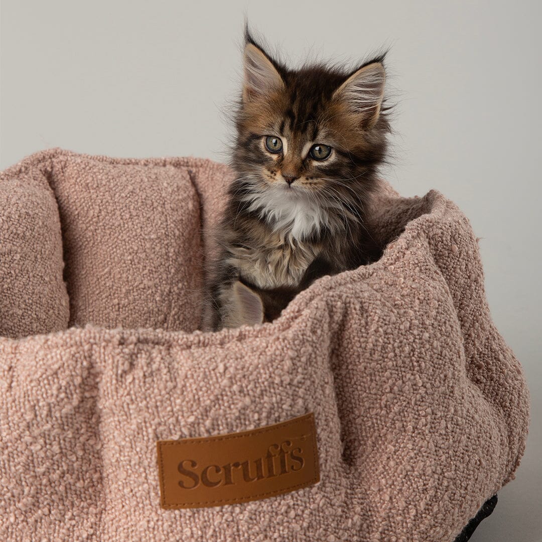 Boucle Cat Bed - Blush Pink Cat Bed Scruffs® 