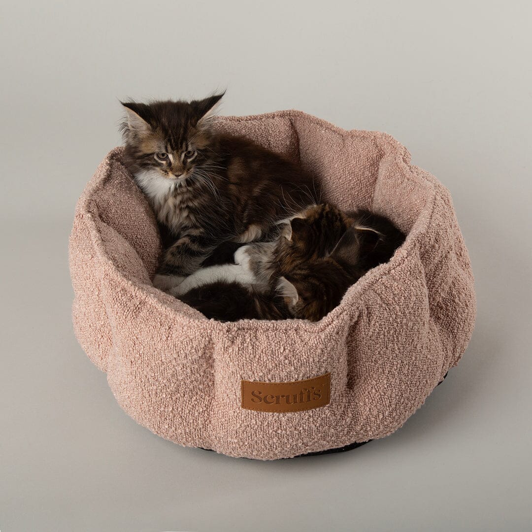 Boucle Cat Bed - Blush Pink Cat Bed Scruffs® 