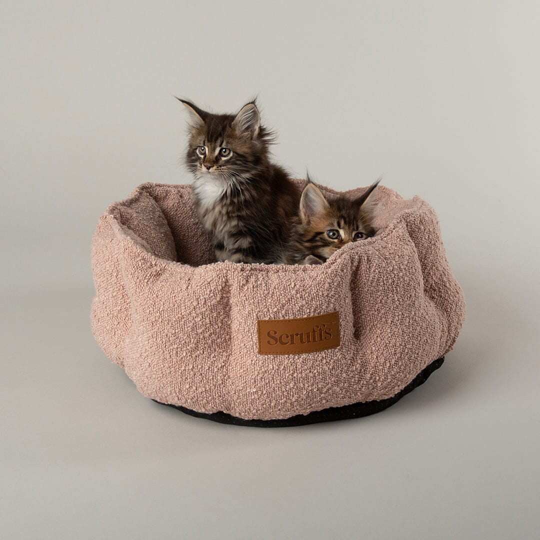 Boucle Cat Bed - Blush Pink Cat Bed Scruffs® 