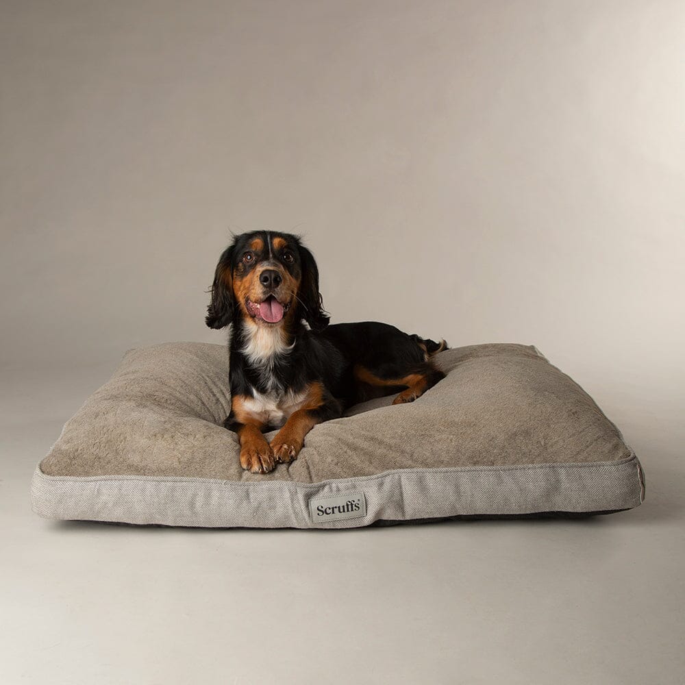 Harvard Memory Foam Mattress - Pearl Grey Dog Bed Scruffs®