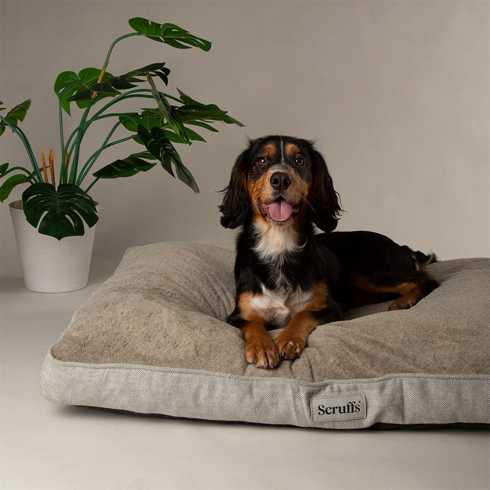 Harvard Memory Foam Mattress - Pearl Grey Dog Bed Scruffs®