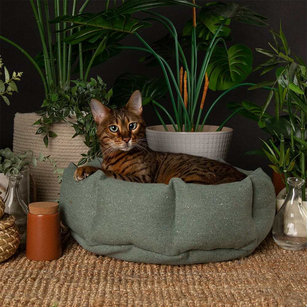 Eden sage green cat bed modelled by bengal cat