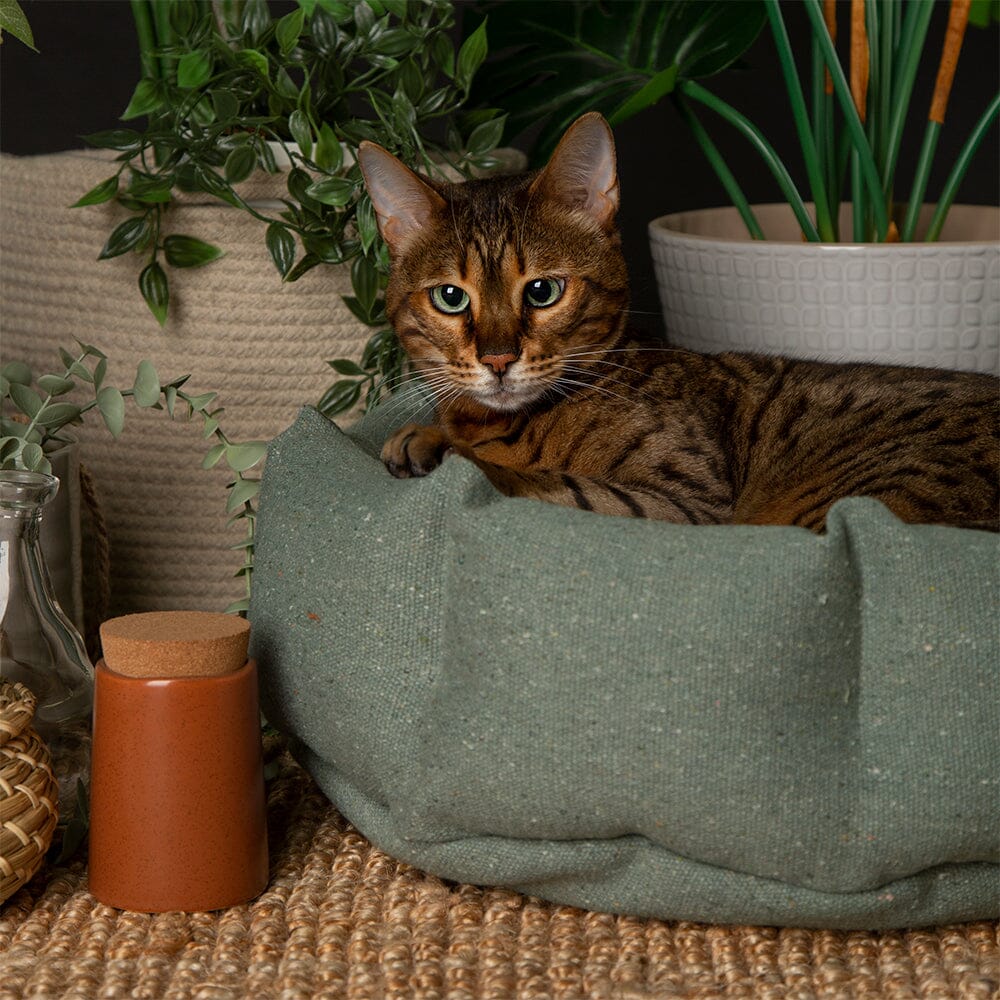 Eden Cat Bed in sage green with bengal cat model 