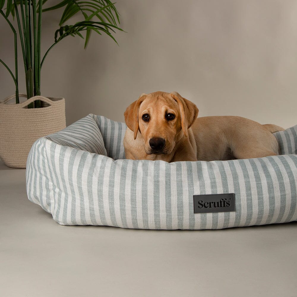Coastal Box Bed - Green Dog Beds Scruffs® 