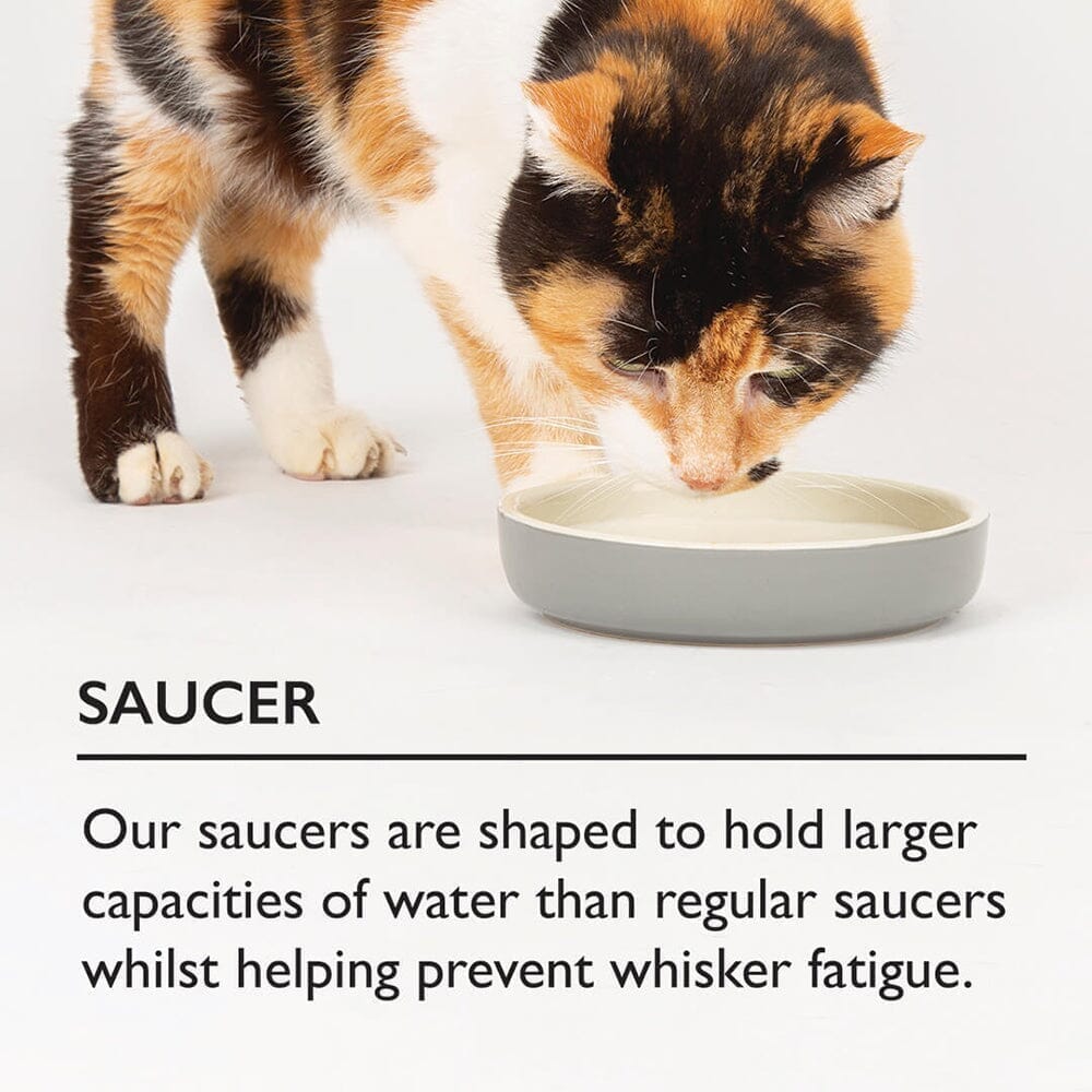 Cat Saucers - shaped to hold larger capacities of water and help prevent whisker fatigue