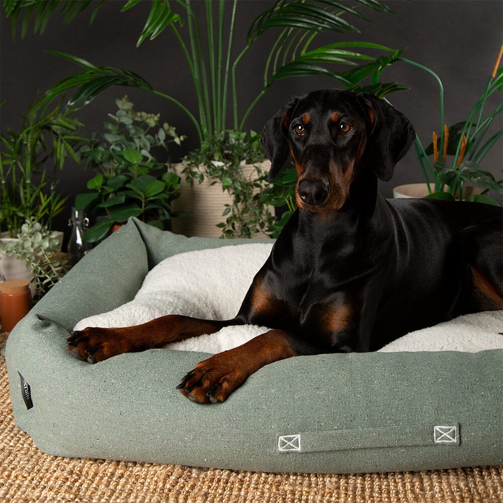 Eden Box Bed - Sage Green Dog Beds Scruffs® 