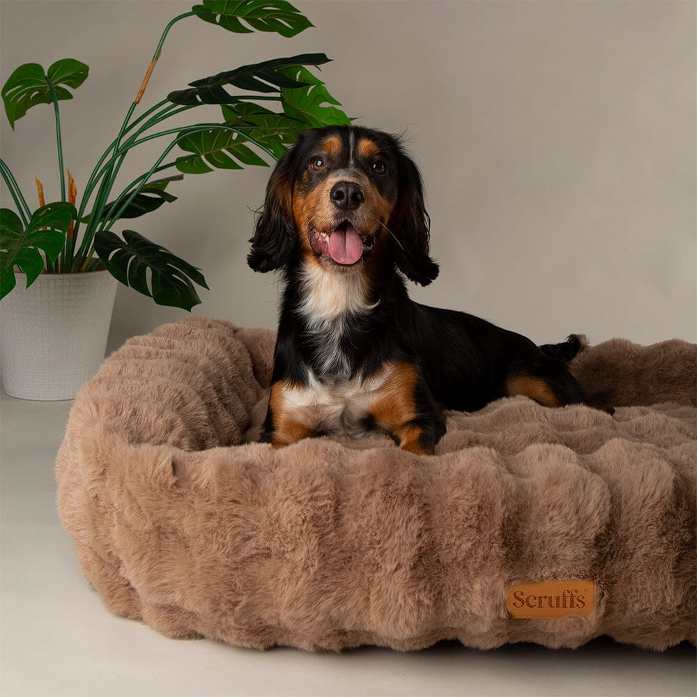 Alpine Box Bed - Taupe Dog Beds Scruffs® 