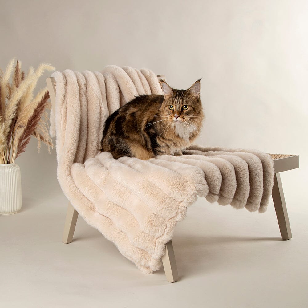 Aspen Cream Cat Blanket - Soft Cat Blanket