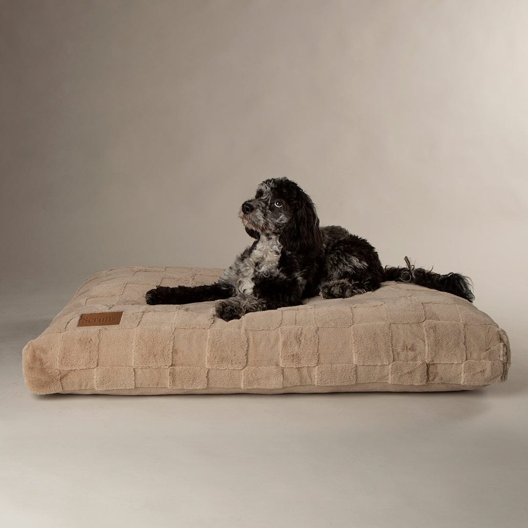 Scruffs Oxford Orthopedic Mattress - Beige Dog Bed - Large Dog Bed 