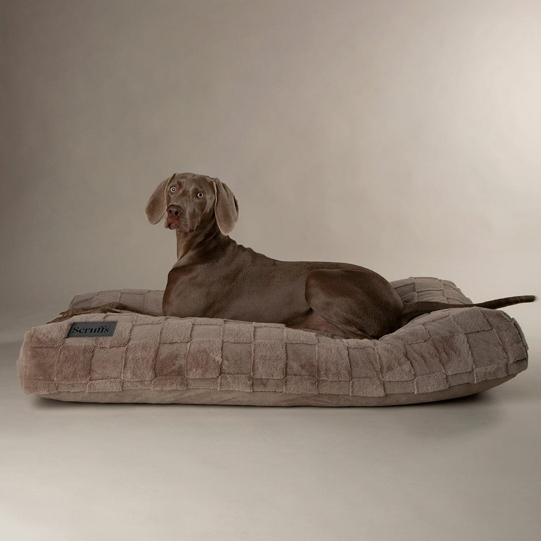 Scruffs Oxford Orthopedic Mattress - Silver Dog Bed 