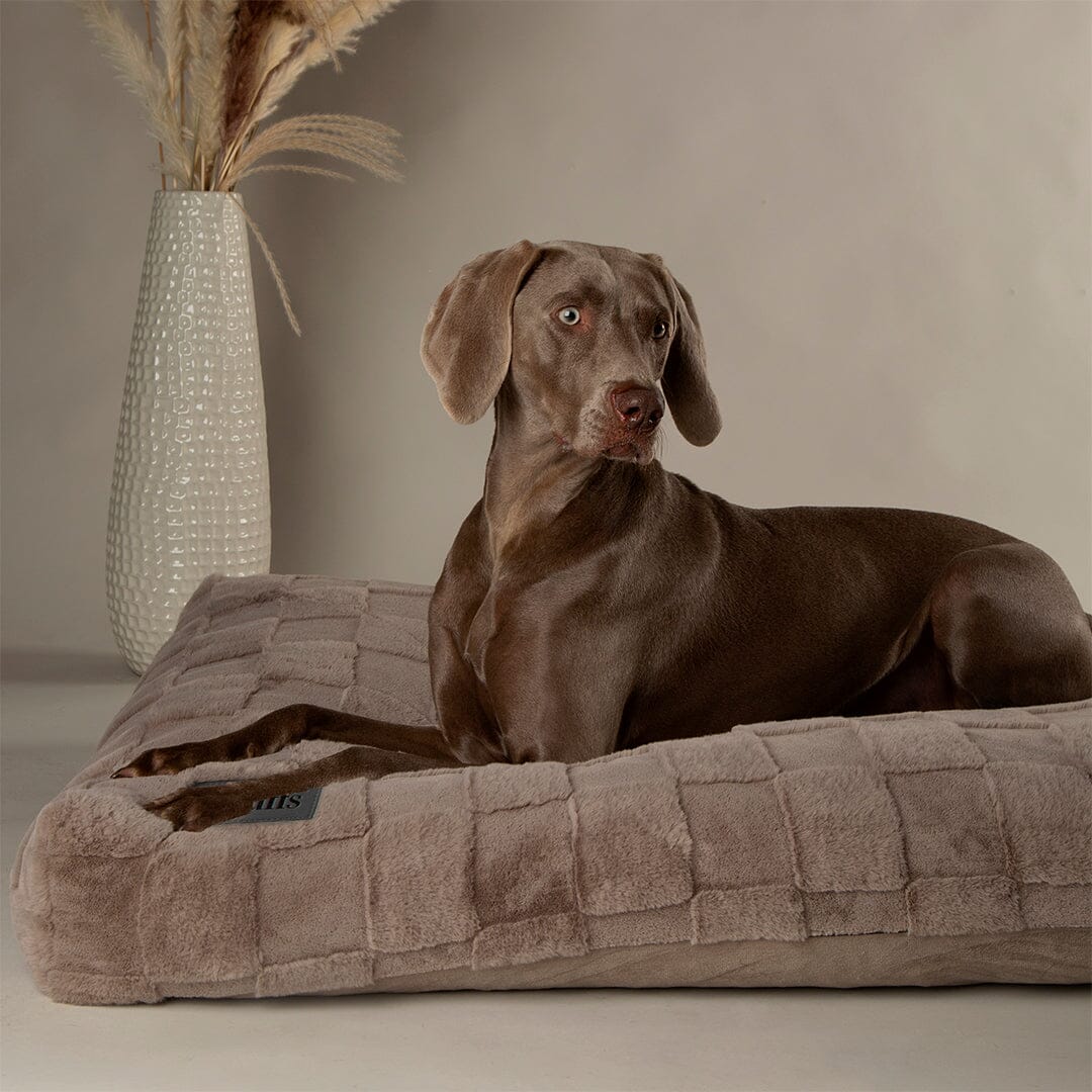 Scruffs Oxford Orthopedic Mattress - Silver Dog Bed 
