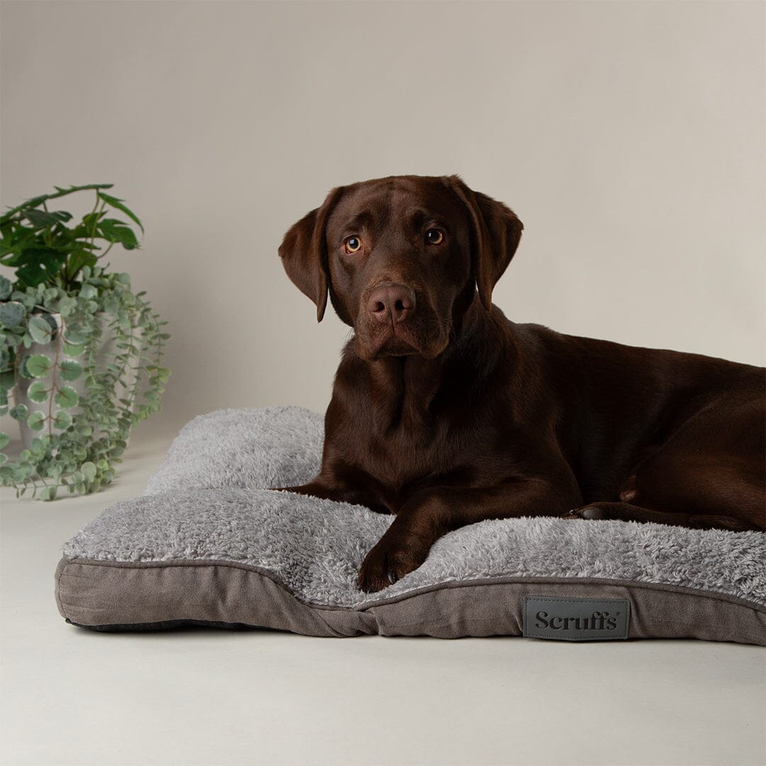 Cosy Mattress - Grey Dog Bed Scruffs®