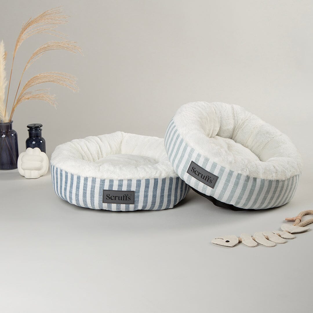 Coastal Cat Beds in green and blue